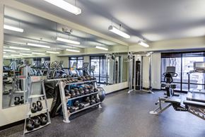 Osseo apartment for rent - 2-Bedroom Apartments in Osseo, MN | 5 Central | Fitness Center with Free Weights, Kettlebells, Exercise Ball, Strength Training Equipment, Cardio Machines, Mirror Wall, and Floor-to-Ceiling Windows.