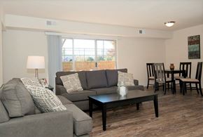 Silver Spring apartment for rent - A living room with a grey couch, a black coffee table, and a lamp.
