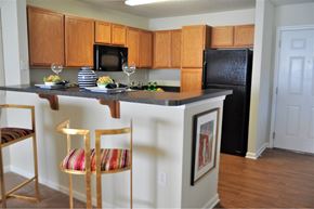 High Point apartment for rent - A kitchen with a black refrigerator and wooden cabinets.