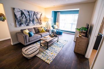 Charlotte apartment for rent - A living room with a grey couch, a coffee table, a rug, and a painting on the wall.