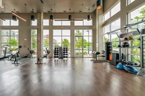 Dallas apartment for rent - A gym with a variety of equipment including treadmills, weights, and exercise machines.