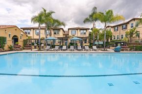 Chula Vista apartment for rent - A swimming pool in front of a row of houses with palm trees.