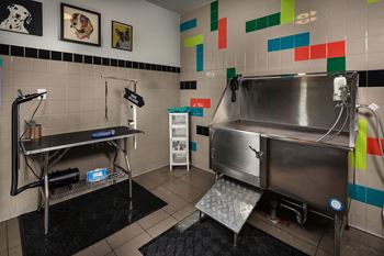 Pet park and woof wash