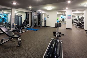 Modern fitness center