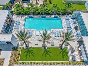 St. Petersburg apartment for rent - A swimming pool surrounded by palm trees and lounge chairs.