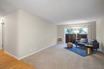 Santa Clara apartment for rent - A living room with a grey couch and a blue rug.