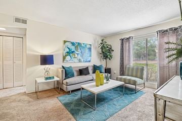 Columbia apartment for rent - A living room with a grey couch and a blue rug.