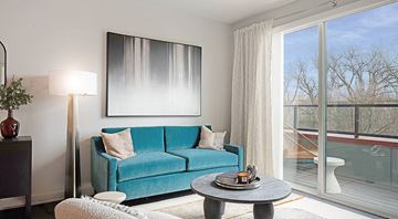 Chevy Chase apartment for rent - A blue couch sits in a living room with a large window.