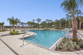 Palm Bay apartment for rent - A large outdoor swimming pool surrounded by palm trees and lounge chairs.