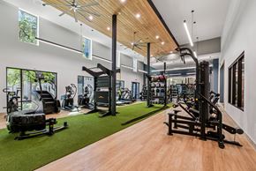 Cedar Park apartment for rent - A gym with a variety of equipment including treadmills, weights, and exercise machines.
