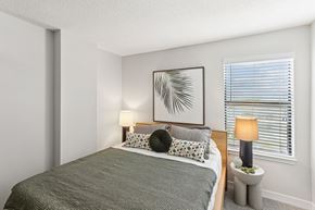 Madison apartment for rent - apartments for rent in nashville tn bedroom