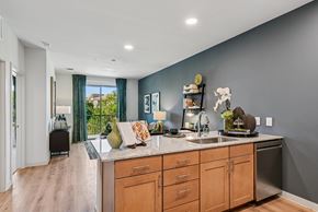 Cedar Park apartment for rent - A kitchen with wooden cabinets and a large island with a sink.