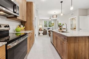 Palm Bay apartment for rent - A modern kitchen with wooden cabinets and a black stove top oven.