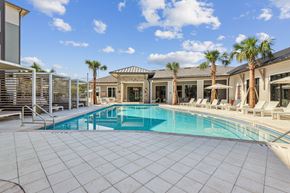 Wesley Chapel apartment for rent - a swimming pool with chairs and palm trees in front of a house