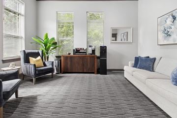 Atlanta apartment for rent - A living room with a grey carpet and a white couch.
