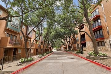 Dallas apartment for rent - A tree-lined street with apartment buildings on either side.