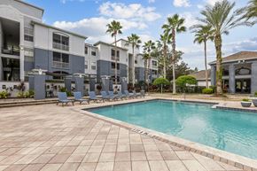 Tampa apartment for rent - A swimming pool surrounded by lounge chairs and palm trees.