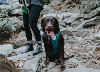 Minnehaha park & mississippi trails