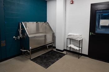 Pet wash station