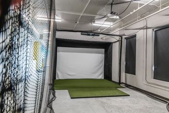 A cage in a gym with a green carpet 