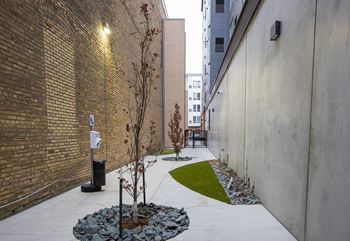 A courtyard with a tree and rocks next to a brick building