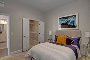 Minneapolis apartment for rent - a bedroom with a bed and a closet