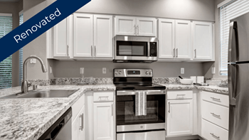 Stainless steel appliances*