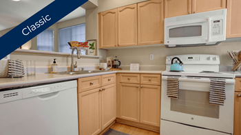 Stainless steel appliances*