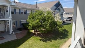 Milwaukee apartment for rent - A tree with white flowers is in the middle of a grassy area.