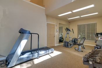 A small gym featuring free weights, a treadmill, elliptical, ad bike