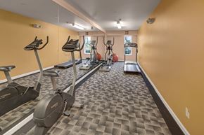 Anchorage apartment for rent - A small fitness room at Admirals Cove with patterned carpet flooring and mirrored walls. The space features an exercise bike, treadmill, and elliptical machines, along with stability balls near bright windows. Overhead lighting and bold wall color create an energizing place for a quick workout.