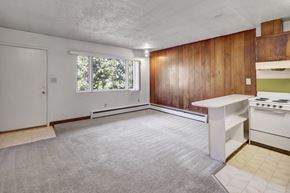 Anchorage apartment for rent - A bright living room here at Country Lane featuring soft carpet flooring, a large window that brings in natural light, and a distinctive wood-paneled accent wall, with an open connection to the kitchen peninsula that creates a functional and welcoming open-concept living space.