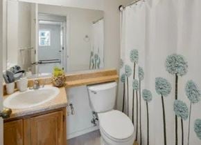 Anchorage apartment for rent - A bathroom here at La Maisonnette with a bathtub-shower combo and a patterned shower curtain. The space features a white toilet, a wooden vanity with a beige countertop, a single sink, and a wall mirror, offering a clean and functional layout.