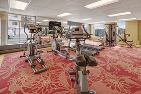 Anchorage apartment for rent - A bright fitness center here at Park Plaza II with cardio and strength equipment including treadmills, ellipticals, and weight machines, featuring large windows and mirrors for an open, energetic workout space.