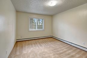 Anchorage apartment for rent - A room with a window and carpeted floor.