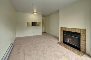 Anchorage apartment for rent - A living room with a fireplace and a carpet.