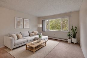 Anchorage apartment for rent - A bright living room here at Taiga with beige carpet, a light gray sectional sofa, a wooden coffee table on a neutral area rug, and large windows with leafy views that create a calm, modern feel.