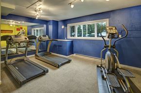 Anchorage apartment for rent - A small fitness room with bold blue walls, carpeted flooring, and bright ceiling track lighting. The space includes two treadmills facing a large mirrored wall and an elliptical machine near a wide window looking out to the parking area.