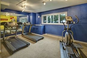 Anchorage apartment for rent - A gym with treadmills, elliptical machines, and a stationary bike.