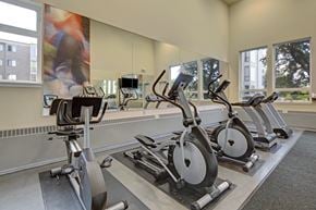Anchorage apartment for rent - A bright fitness room at The Alpine featuring treadmills, ellipticals, and a stationary bike lined up before a full wall mirror. Large windows bring in natural light and offer views of the community grounds, while high ceilings and simple flooring create an open, airy workout environment.
