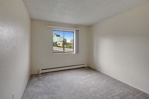 Anchorage apartment for rent - A bright bedroom here at The Continental featuring neutral wall tones, plush carpeted flooring, and a large window that brings in natural light, creating a simple and comfortable space with room for flexible furniture placement.