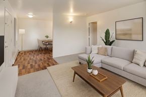Anchorage apartment for rent - A living room with a couch, coffee table, and a plant.