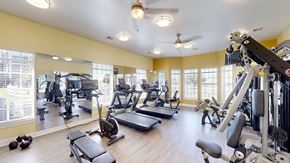 Bentonville apartment for rent - A spacious gym with a variety of equipment including treadmills, weights, and a bench press.