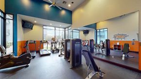 Phoenix apartment for rent - A spacious modern fitness center here at Acclaim featuring cardio machines, strength equipment, mirrored walls, high ceilings, ceiling fans, and large windows that fill the room with natural light for an energizing workout environment.