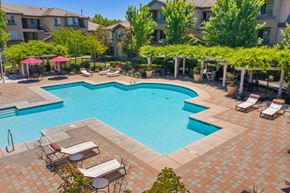 Sacramento apartment for rent - A resort-style outdoor pool here at Artisan 8282 featuring a large sparkling swimming pool with geometric edges, surrounded by spacious paver decking, lounge chairs, shaded pergolas with greenery, and umbrellas, all set within a landscaped courtyard framed by mature trees and nearby apartment buildings under a clear blue sky.