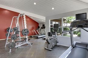 Scottsdale apartment for rent - A well-equipped fitness center here at Desert Horizon featuring tile flooring, large windows with courtyard views, and a bold accent wall. The space includes treadmills, a stationary bike, and a weight rack with plates, providing options for both cardio and strength training in a bright, motivating environment.