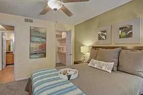 Scottsdale apartment for rent - A comfortable bedroom here at Desert Horizon featuring soft carpet, warm neutral walls, and a ceiling fan with light. A spacious bed with layered bedding sits beside a nightstand and lamp, while wall art adds character. An open doorway leads to a walk-in closet and attached bathroom, creating a functional and private retreat.