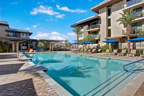 Phoenix apartment for rent - A resort-style swimming pool here at Escape featuring a sparkling rectangular pool with wide entry steps and handrails, surrounded by lounge chairs with blue umbrellas, modern pergola seating, and landscaped palm trees, all set against contemporary apartment buildings with private balconies for a vibrant and inviting outdoor retreat.