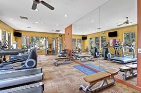 Peoria apartment for rent - A spacious fitness center here at Natura Villas featuring floor-to-ceiling mirrors, large windows with natural light, and a variety of cardio and strength-training equipment. Treadmills, elliptical machines, stationary bikes, free weights, and weight benches are arranged across the open layout, creating a well-equipped environment ideal for convenient, on-site workouts.