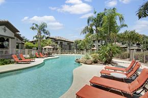Gilbert apartment for rent - A resort-style outdoor swimming pool here at Sonoma Landing featuring a curved turquoise pool surrounded by red cushioned lounge chairs, palm trees, and desert landscaping, with shaded umbrellas, a fenced deck, and warm stucco apartment buildings creating a relaxing courtyard setting under a bright blue sky.
